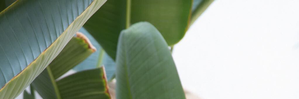 harmonEEYO's profile banner image