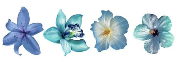 fannylegg Profile Banner