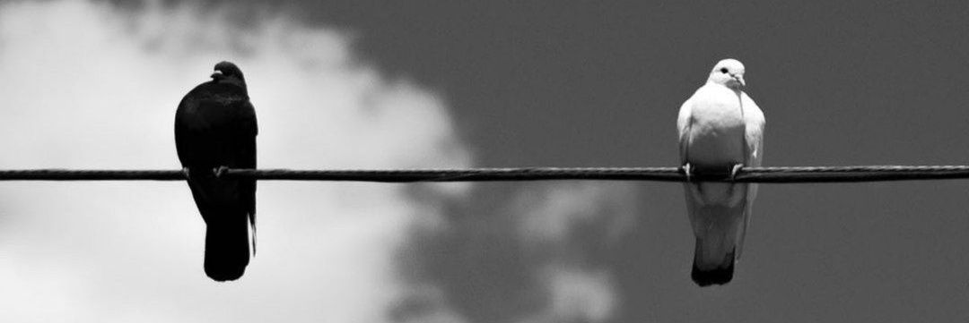 FWWID banner
