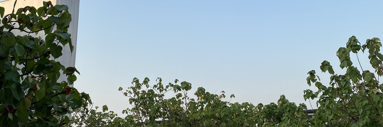 RestaniaRizma's profile banner image