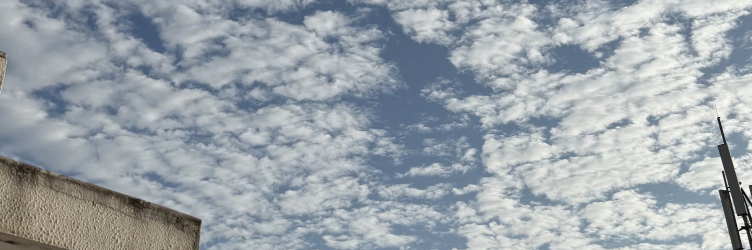 Meet Bhalodiya banner