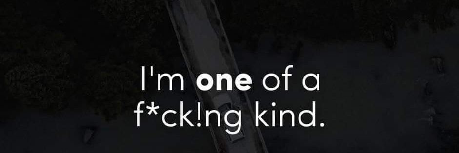 Alpha DaVinci™ banner