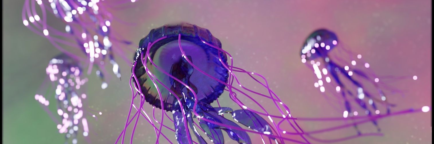 Avvvva16's profile banner image