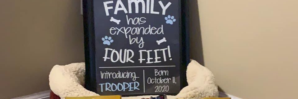 Trooper Bond banner