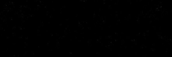 _sonoandrea Profile Banner