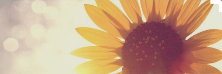 SabrinaPaez7's profile banner image
