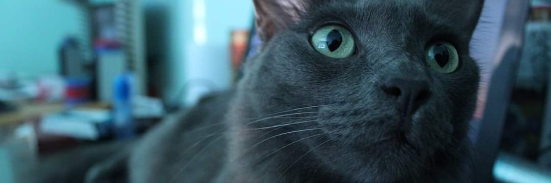 Jahn117's profile banner image