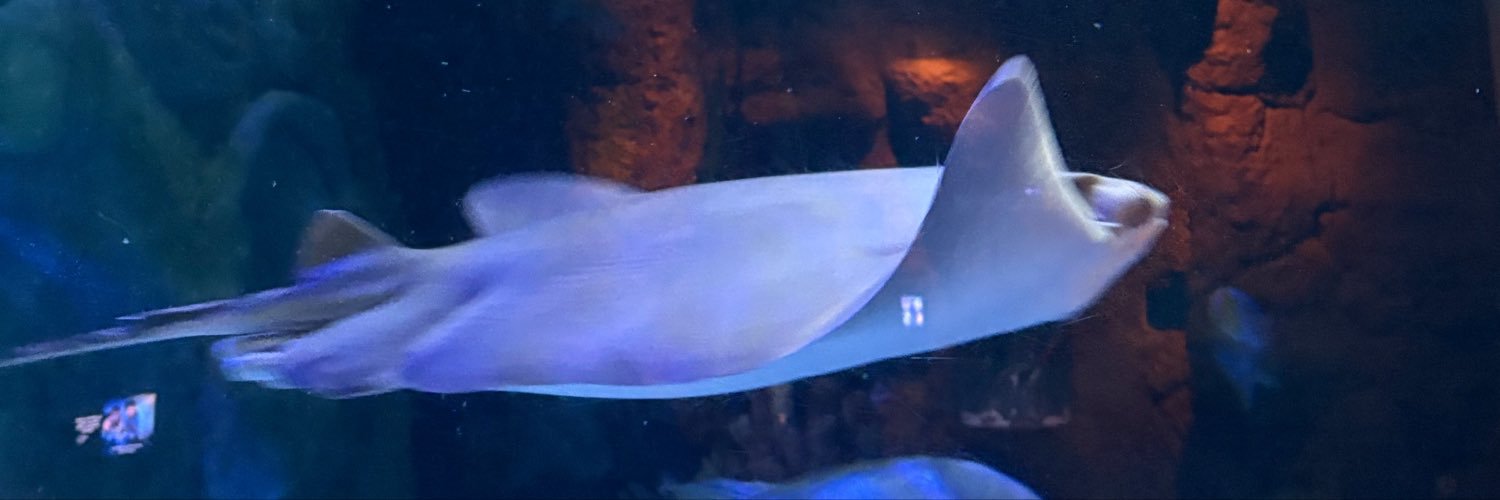 JelleeAltair's profile banner image