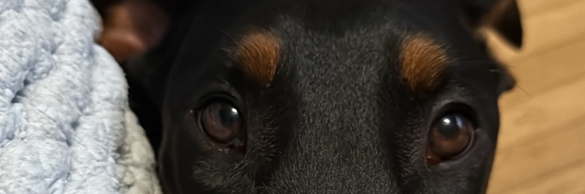 lexa_br0's profile banner image