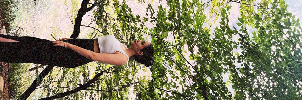 sdfrb_'s profile banner image