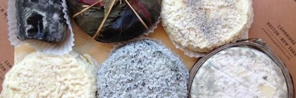 FormaggioSE Profile Banner