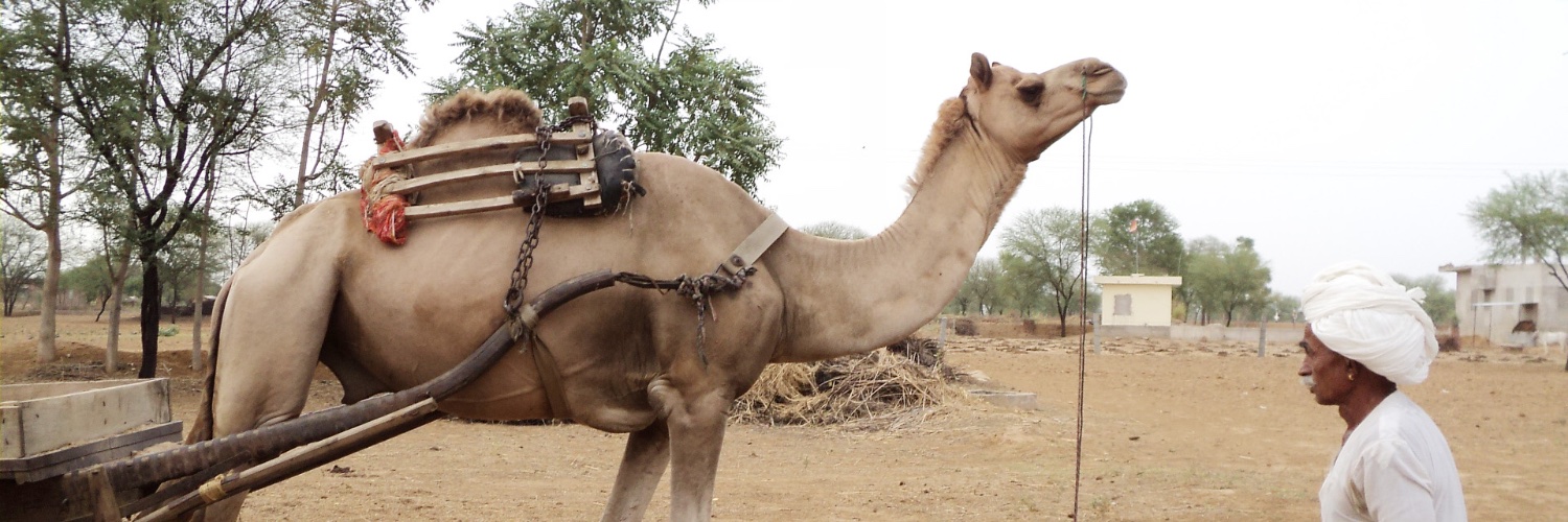 🔆 ओम प्रकाश सेठ 🔆 banner