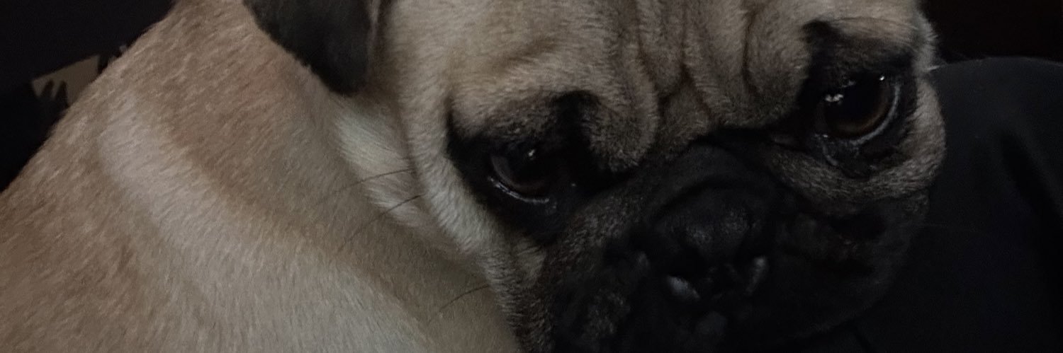 Jaimegeeee's profile banner image