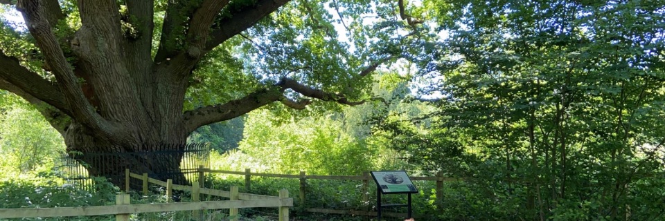 Meg Howarth @howarthm.bsky.social 🇺🇦 🇪🇺 banner