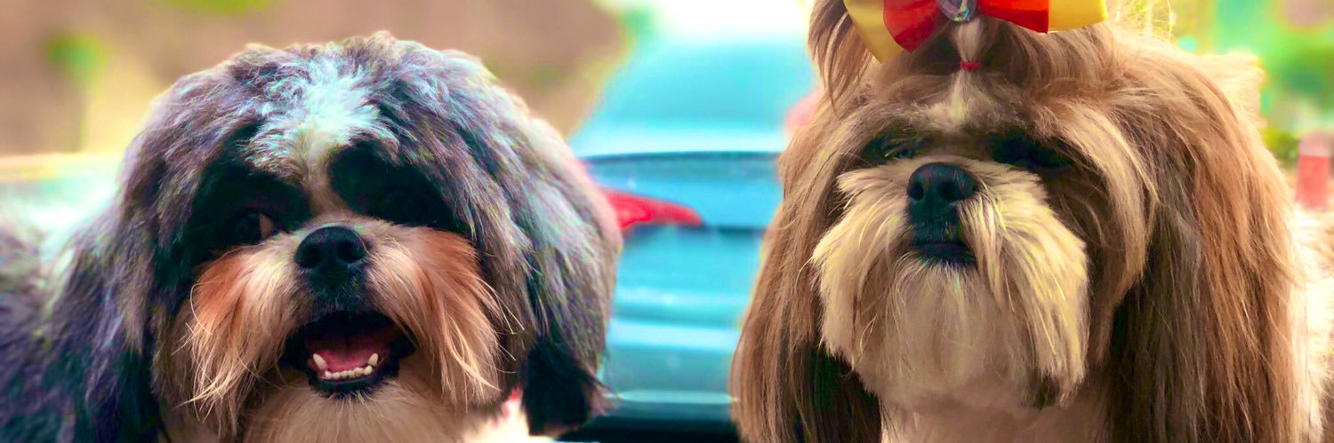 MarianaERUIZP's profile banner image