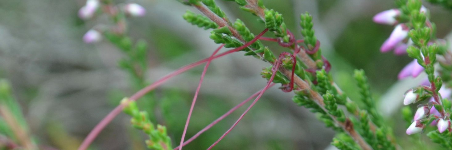 NatuurPlus's profile banner image