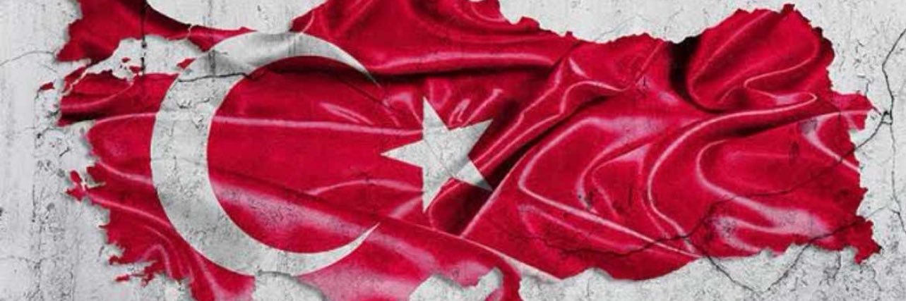 Necla İNAL banner