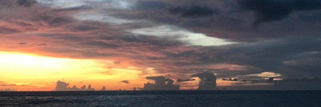 hweiscope's profile banner image