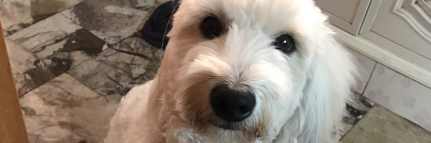 pp banner