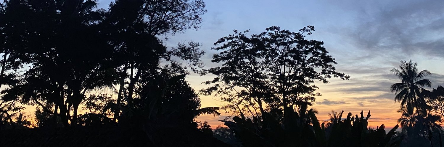daamihs's profile banner image