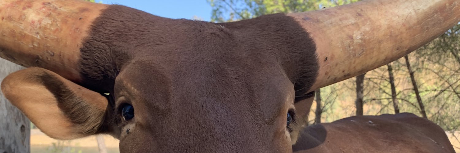 TrabajoConLoPeorYencimaConPresos banner