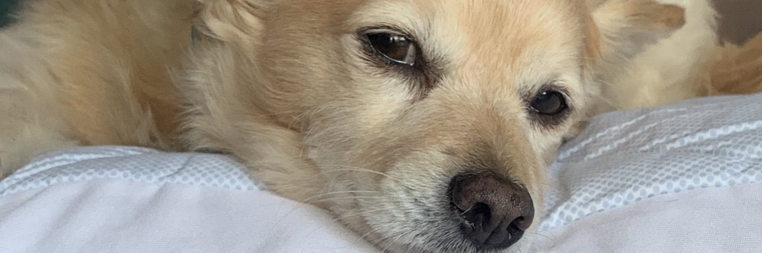 Still Going banner