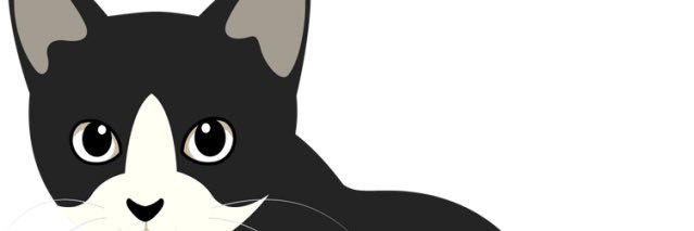 Colorfuljam1118's profile banner image