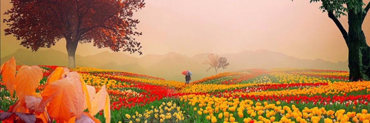 buha_m's profile banner image