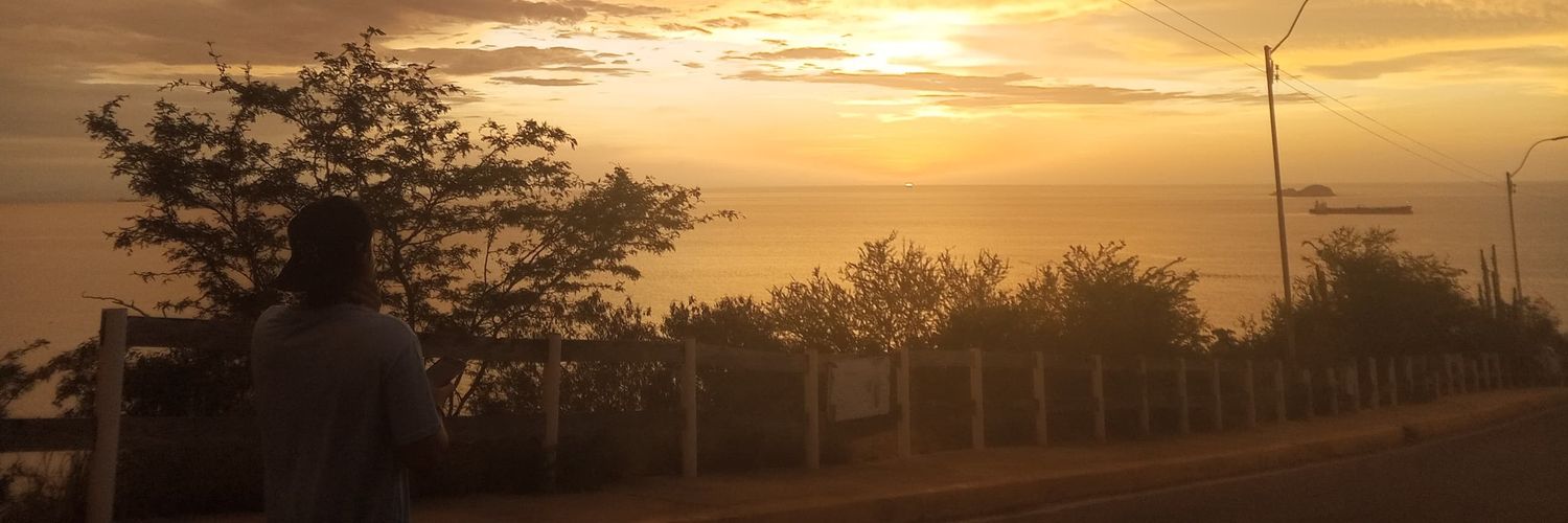 damnluiii's profile banner image
