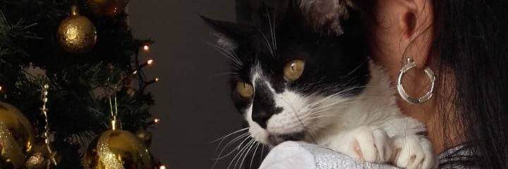 GuuadaYC's profile banner image