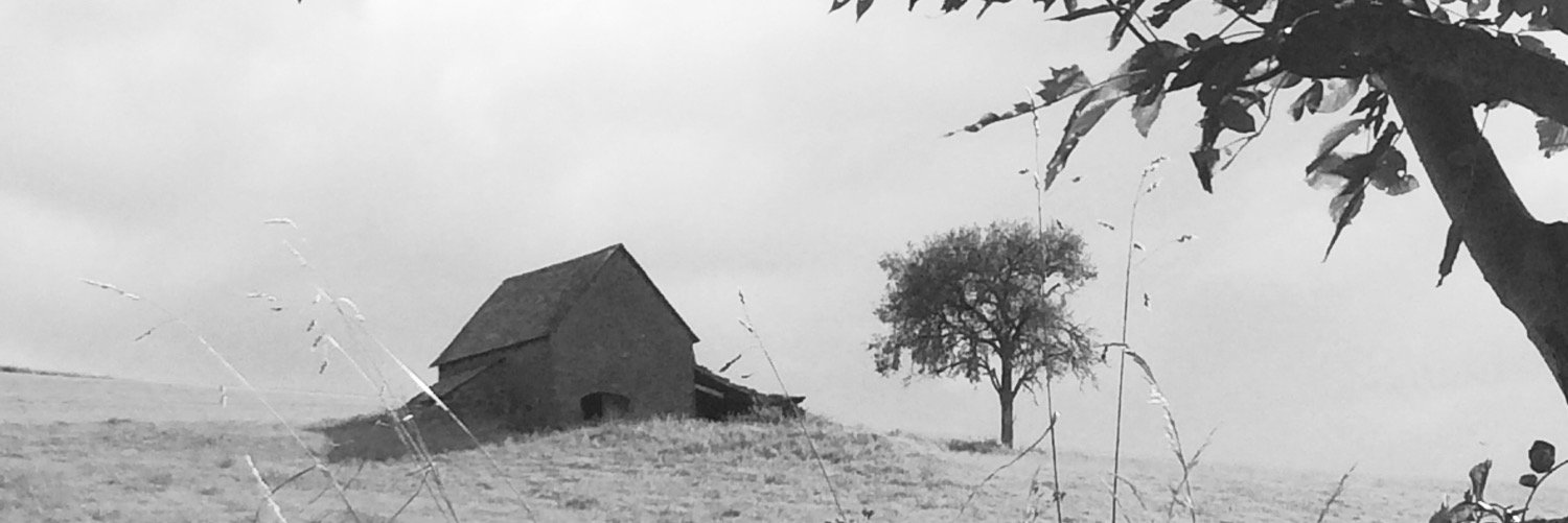 isoflou's profile banner image