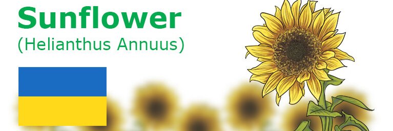 Krystal Ryan 🌻's banner