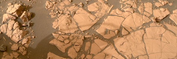 parakeetnebula Profile Banner