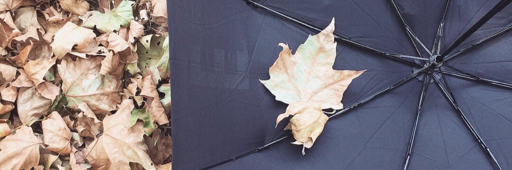 Matoiid's profile banner image