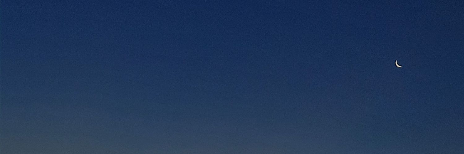 Florsauer's profile banner image