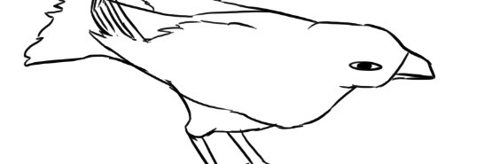 boredcrow24's banner
