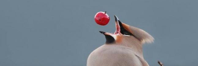 b_renek's profile banner image