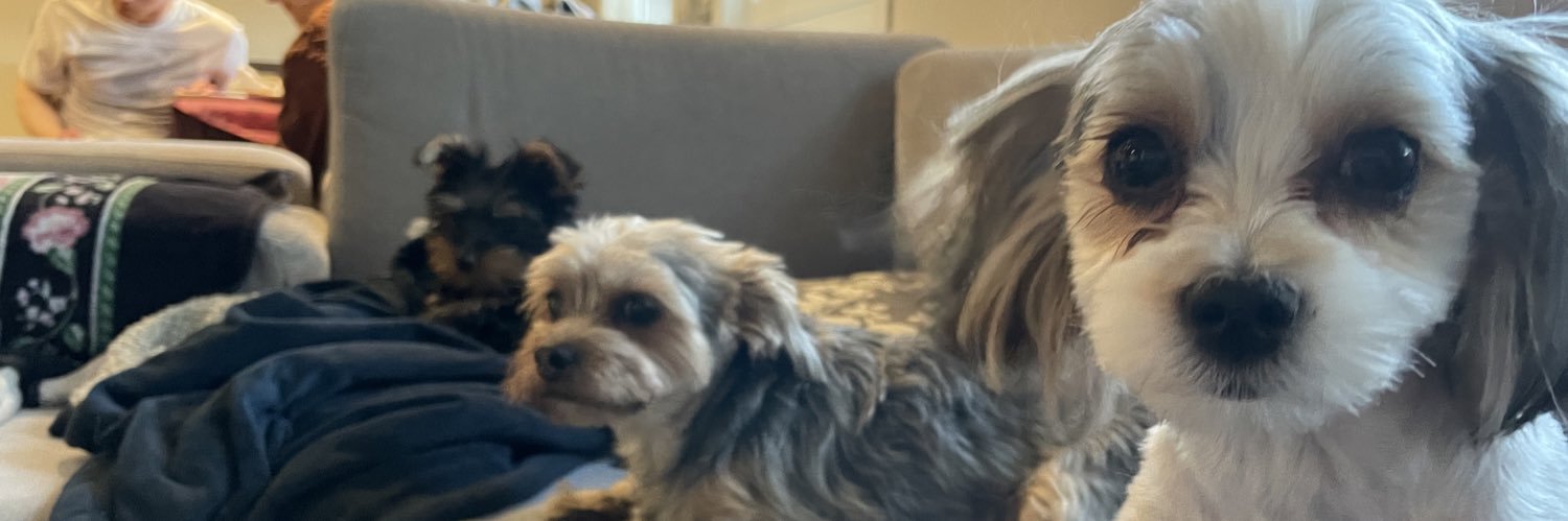 Scobildy's profile banner image