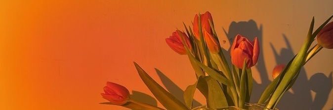 Jomayragr's profile banner image