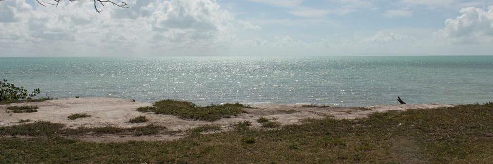 desdechetumal's profile banner image