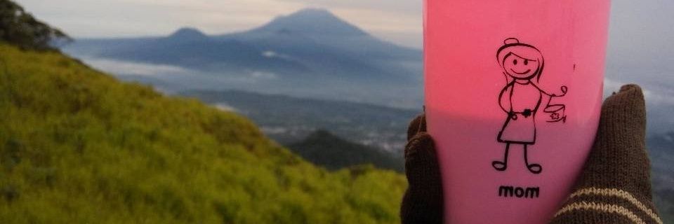 Pungew's profile banner image