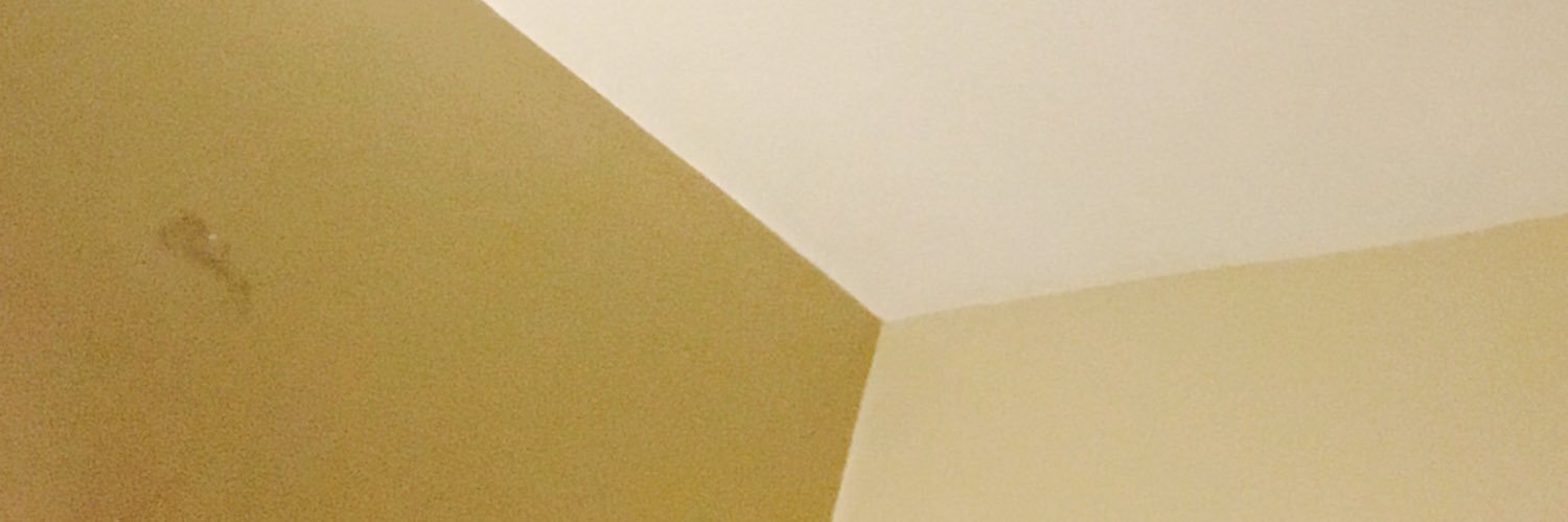 𝐇𝐈𝐑𝐎𝐇𝐈𝐒𝐀 𝐘𝐀𝐍𝐎 banner