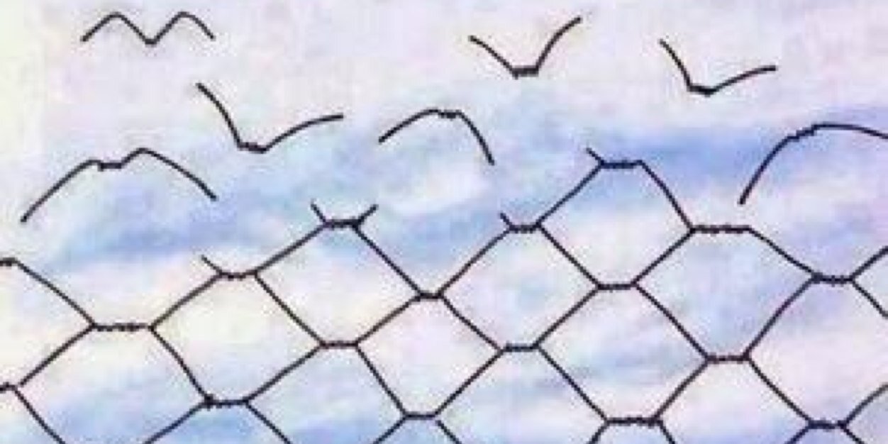 yonosekemas's profile banner image