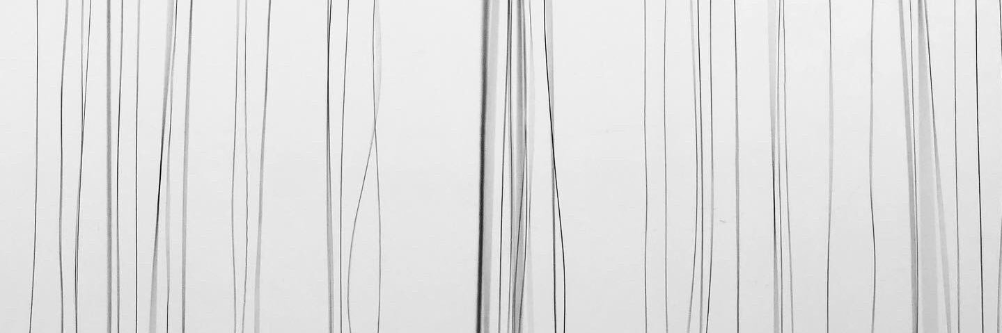 Jonas banner
