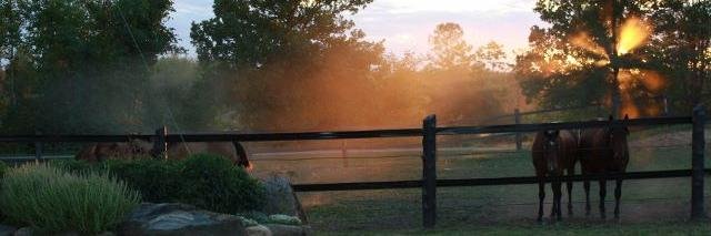 FFNR1's profile banner image