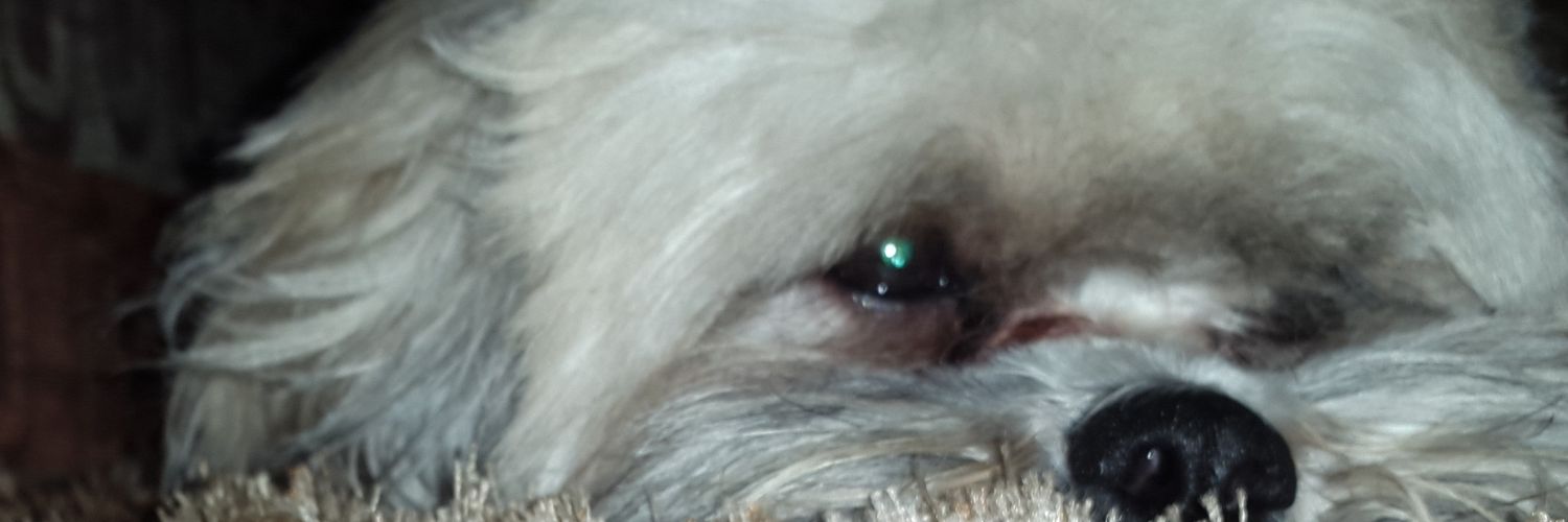 yanethmont's profile banner image
