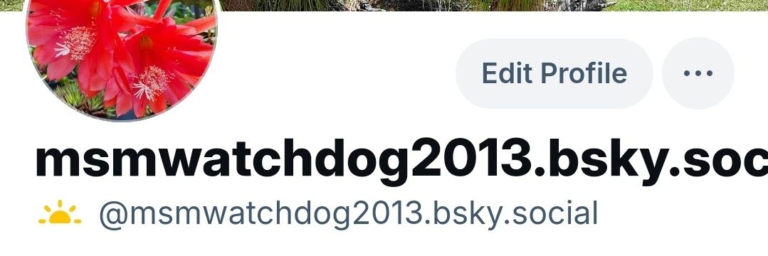 MSMWatchdog2013's profile banner image