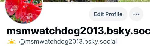 MSMWatchdog2013 Profile Banner