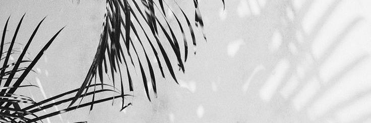 Lydyaalee26's profile banner image