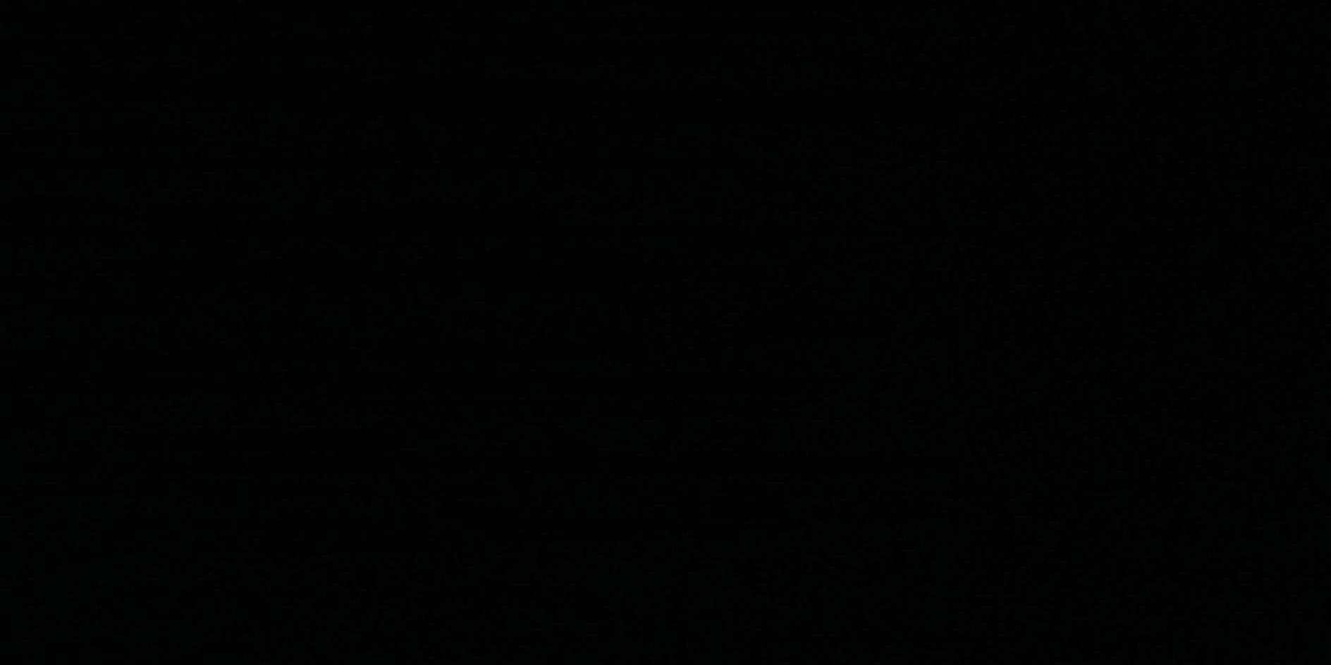 FAIZ banner